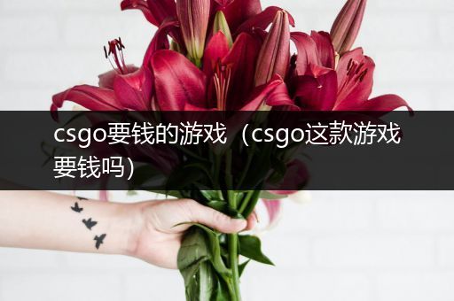 csgo要钱的游戏（csgo这款游戏要钱吗）
