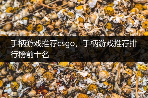 手柄游戏推荐csgo，手柄游戏推荐排行榜前十名