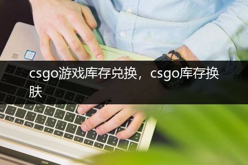 csgo游戏库存兑换，csgo库存换肤