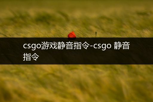 csgo游戏静音指令-csgo 静音指令