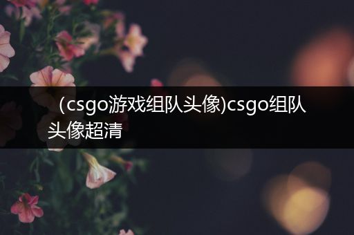 （csgo游戏组队头像)csgo组队头像超清