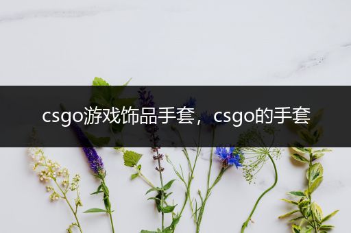 csgo游戏饰品手套，csgo的手套