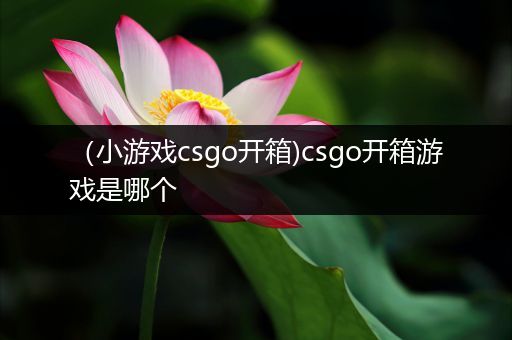 （小游戏csgo开箱)csgo开箱游戏是哪个