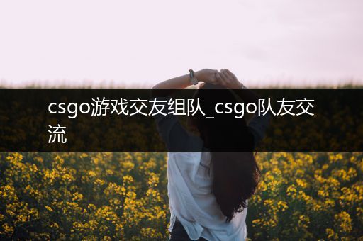 csgo游戏交友组队_csgo队友交流