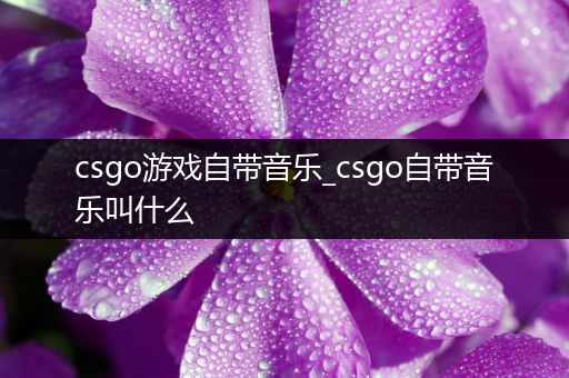 csgo游戏自带音乐_csgo自带音乐叫什么