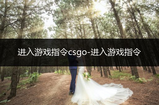 进入游戏指令csgo-进入游戏指令