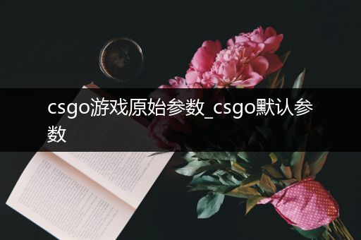 csgo游戏原始参数_csgo默认参数
