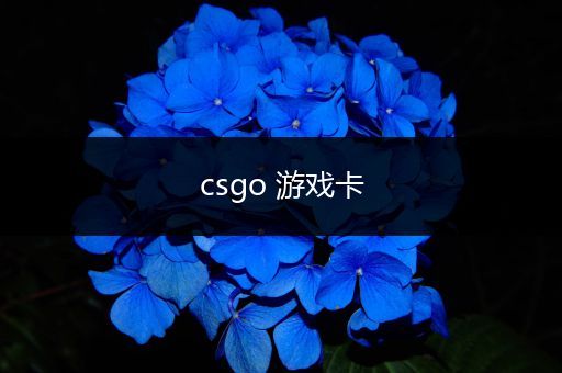 csgo 游戏卡