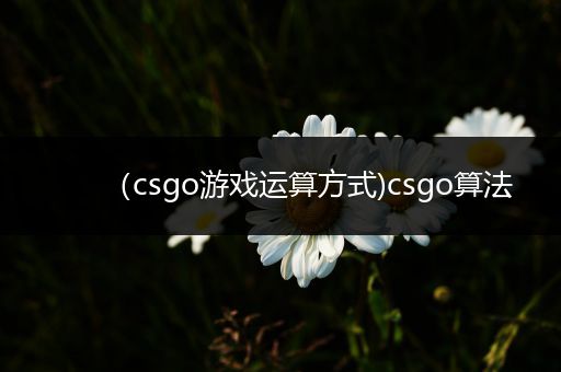 （csgo游戏运算方式)csgo算法