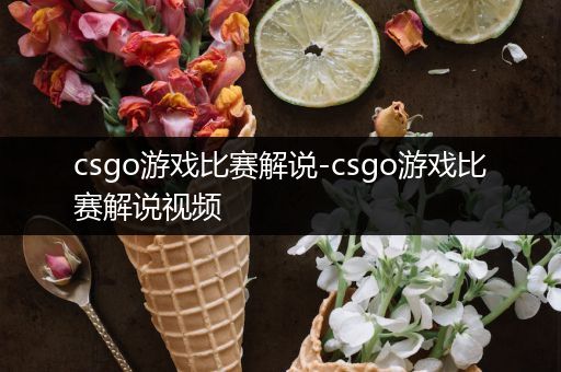 csgo游戏比赛解说-csgo游戏比赛解说视频