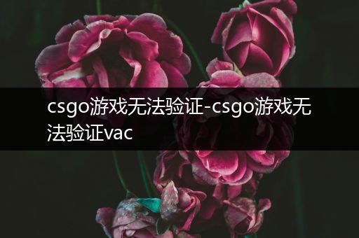 csgo游戏无法验证-csgo游戏无法验证vac