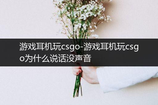 游戏耳机玩csgo-游戏耳机玩csgo为什么说话没声音
