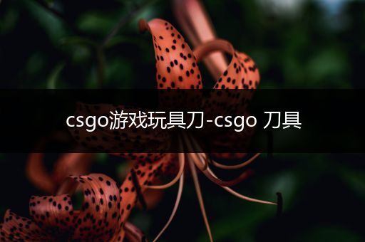 csgo游戏玩具刀-csgo 刀具