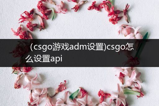 （csgo游戏adm设置)csgo怎么设置api
