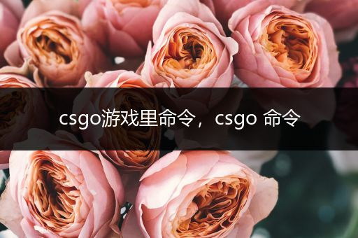 csgo游戏里命令，csgo 命令