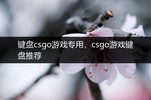键盘csgo游戏专用，csgo游戏键盘推荐