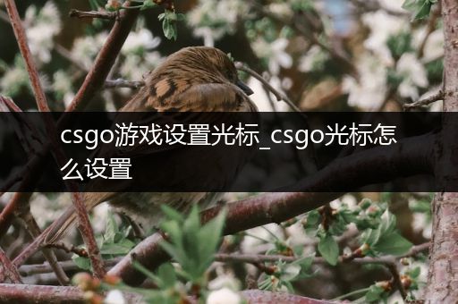 csgo游戏设置光标_csgo光标怎么设置