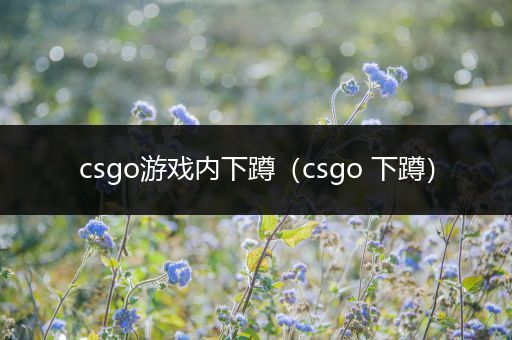 csgo游戏内下蹲（csgo 下蹲）