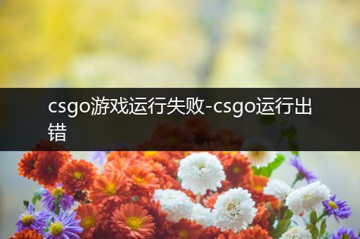 csgo游戏运行失败-csgo运行出错