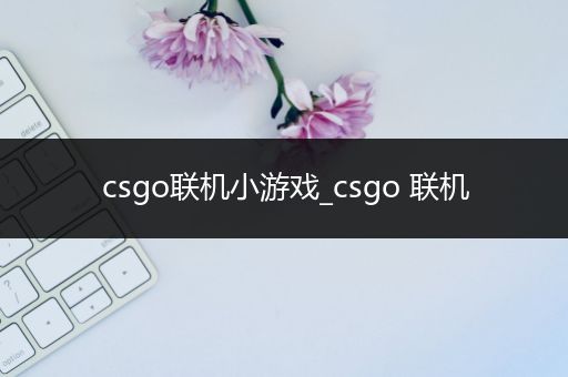 csgo联机小游戏_csgo 联机