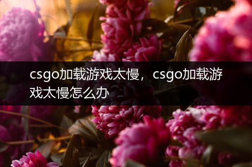 csgo加载游戏太慢，csgo加载游戏太慢怎么办