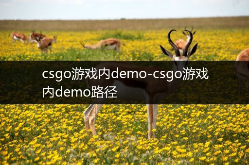 csgo游戏内demo-csgo游戏内demo路径