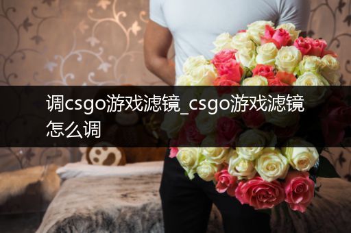 调csgo游戏滤镜_csgo游戏滤镜怎么调