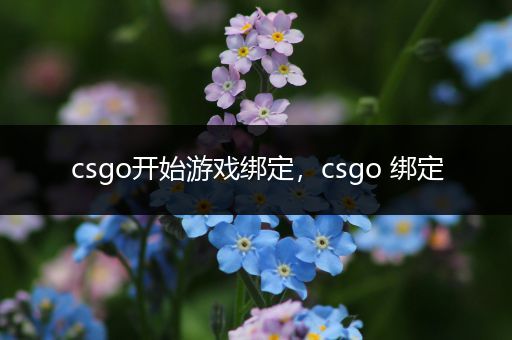 csgo开始游戏绑定，csgo 绑定