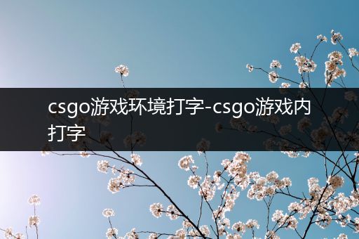 csgo游戏环境打字-csgo游戏内打字