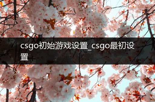 csgo初始游戏设置_csgo最初设置
