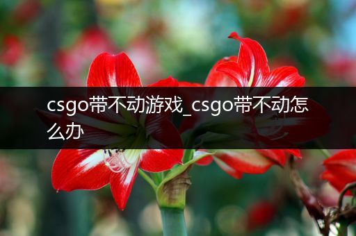 csgo带不动游戏_csgo带不动怎么办