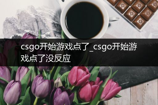 csgo开始游戏点了_csgo开始游戏点了没反应