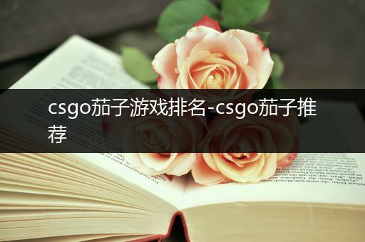 csgo茄子游戏排名-csgo茄子推荐