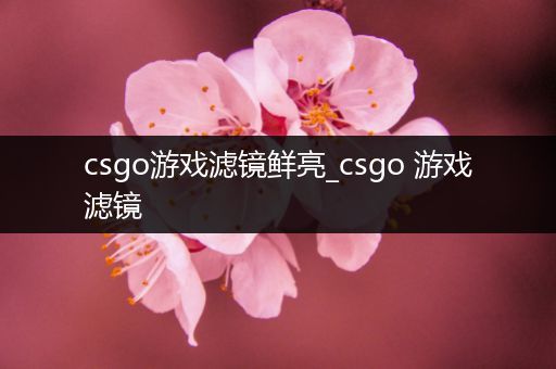 csgo游戏滤镜鲜亮_csgo 游戏滤镜
