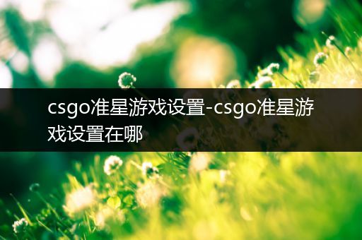 csgo准星游戏设置-csgo准星游戏设置在哪