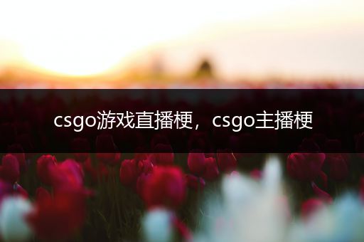 csgo游戏直播梗，csgo主播梗