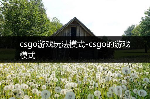 csgo游戏玩法模式-csgo的游戏模式