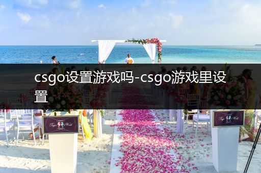 csgo设置游戏吗-csgo游戏里设置