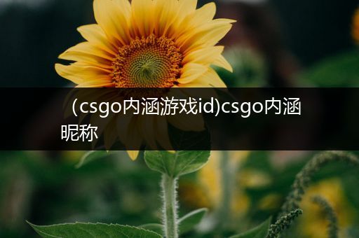 （csgo内涵游戏id)csgo内涵昵称