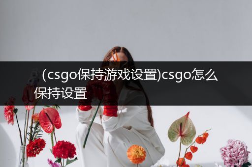 （csgo保持游戏设置)csgo怎么保持设置