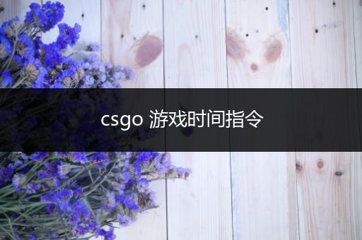 csgo 游戏时间指令