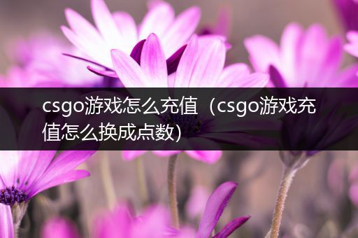 csgo游戏怎么充值（csgo游戏充值怎么换成点数）