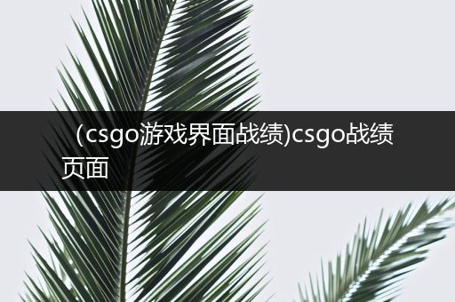 （csgo游戏界面战绩)csgo战绩页面