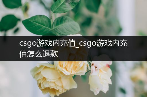 csgo游戏内充值_csgo游戏内充值怎么退款