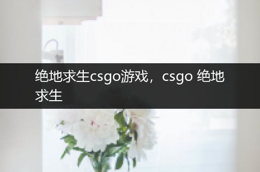 绝地求生csgo游戏，csgo 绝地求生
