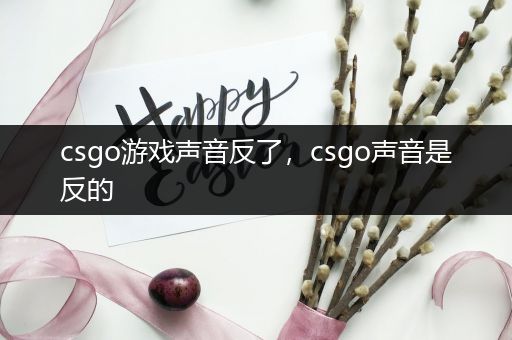 csgo游戏声音反了，csgo声音是反的