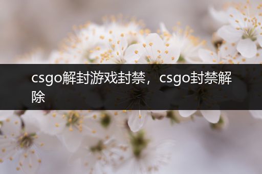 csgo解封游戏封禁，csgo封禁解除
