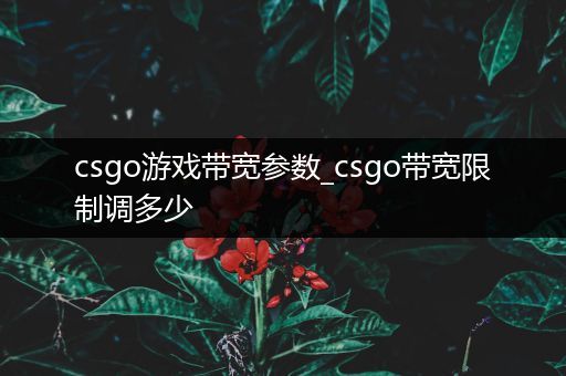 csgo游戏带宽参数_csgo带宽限制调多少