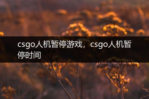 csgo人机暂停游戏，csgo人机暂停时间