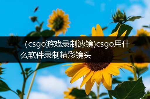 （csgo游戏录制滤镜)csgo用什么软件录制精彩镜头